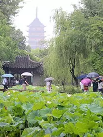 晴雨梅天